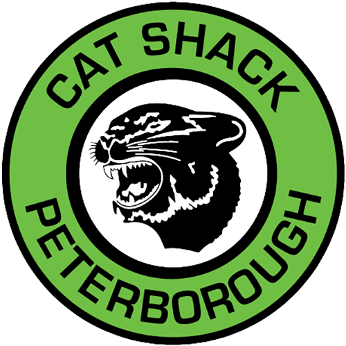 Cat Shack Petergorough